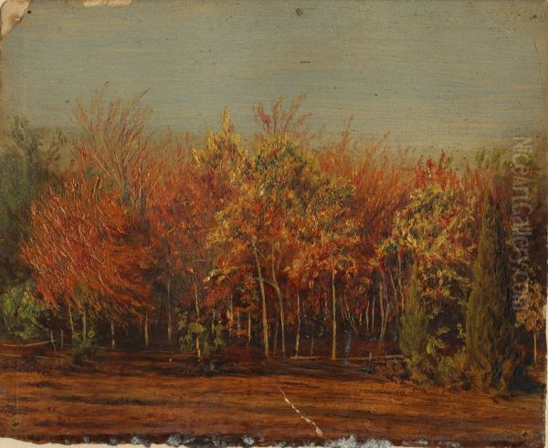 Oil Sketch. - view 1