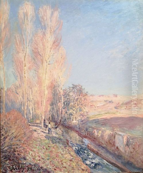 Ete de la Saint-Martin, environ de Moret-sur-Loing - view 1