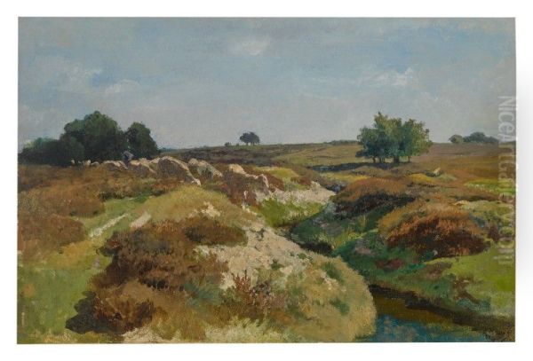 SHEEP ON THE DUNES - view 1