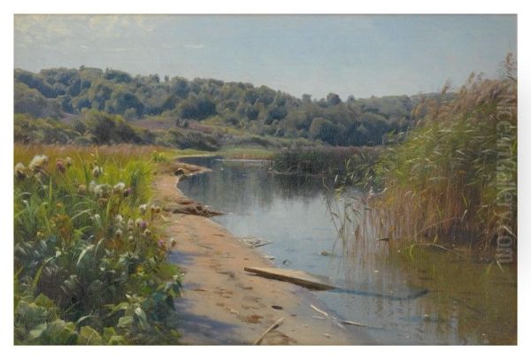 SUMMER REFLECTIONS ON A LAKE, SILKEBORG - view 1