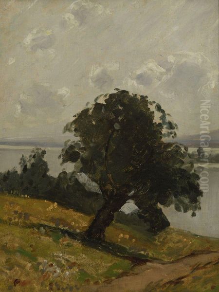 Chiemseelandschaft - view 1