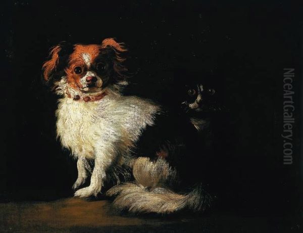 Dog and cat. - view 1