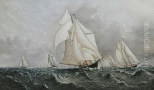 Yacht Ambassadress by James Buttersworth