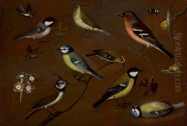 STILL LIFE OF BIRDS, INCLUDING A MARSH TIT, CHIFFCHAFF, CHAFFINCH, BLUE TITS, GOLDCREST, LAPWING AND A GREAT TIT - view 1