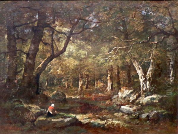 Sous-bois. - view 1