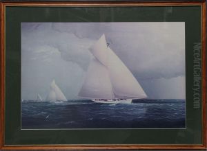 Volunteer Vs Thistle, Americas Cup Race