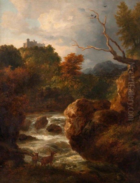 Mountain stream with deer - view 1