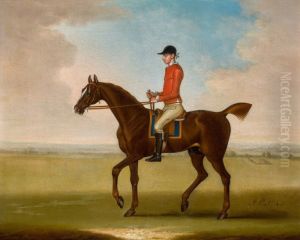 MR JOHN MARTINDALE'S 'SEDBURY', WITH JOCKEY UP by unknown