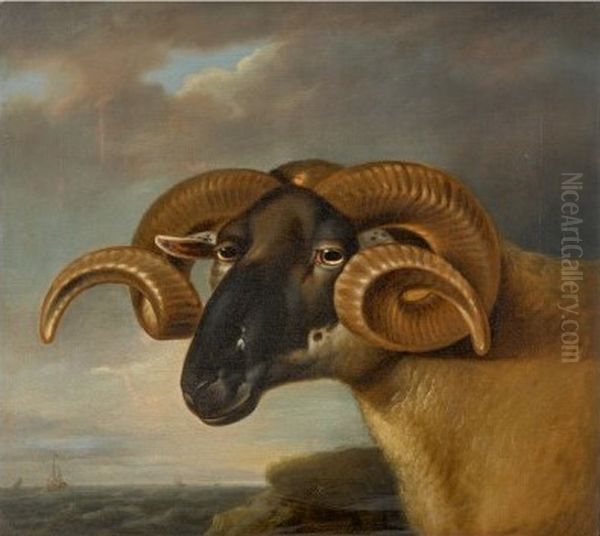 HEAD OF A BLACK FACED RAM, FACING LEFT, A SEASCAPE BEYOND - view 1
