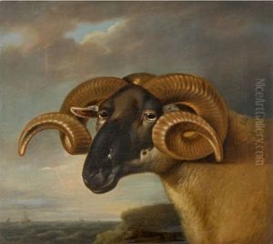 HEAD OF A BLACK FACED RAM, FACING LEFT, A SEASCAPE BEYOND