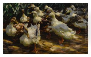 DUCKS IN SUNLIGHT by unknown