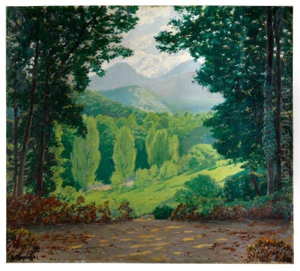 EL MONTSENY - view 1
