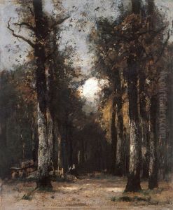 The Depth of the Forest by Laszlo Paal