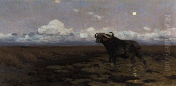 IN THE MARSH - A CAPE BUFFALO - view 1