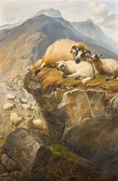 SHEEP IN THE ISLE OF SKYE - view 1