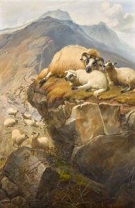 SHEEP IN THE ISLE OF SKYE