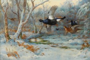 BLACK GROUSE IN FLIGHT IN A WINTER WOODLAND by unknown