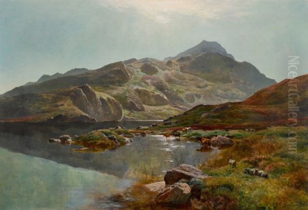 SNOWDON - view 1