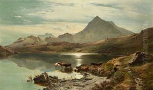 LLYN Y CWN FLYNNON, NORTH WALES LLYN Y CWN FLYNNON, NORTH WALES