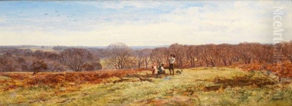 IN THE NEW FOREST, HAMPSHIRE - view 1