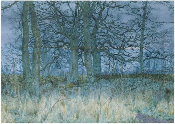 Trees in winter - view 1