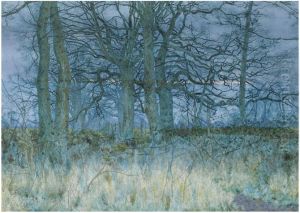 Trees in winter
