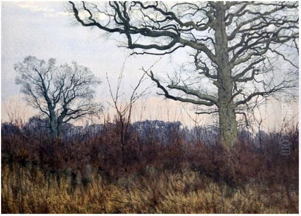 Trees in a landscape , 1885 - view 1