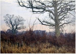 Trees in a landscape , 1885 Trees in a landscape , 1885