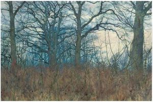 Woodland scene at twilight , 1885 by William Fraser Garden