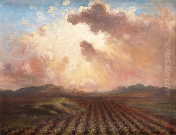 EVENING IN THE FIELDS - view 1