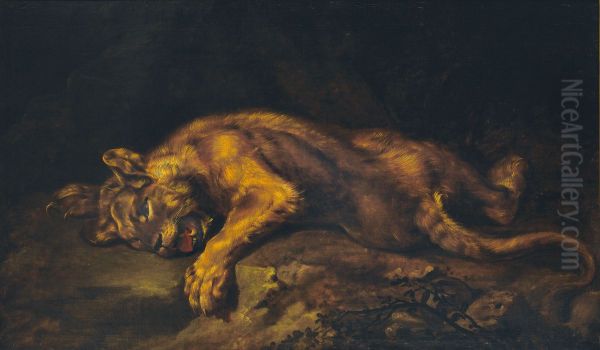 Lionne couchee - view 1