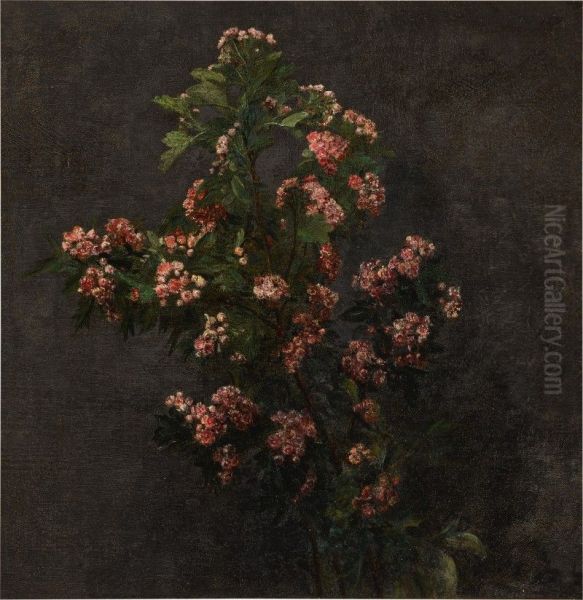 Aubepines roses - view 1