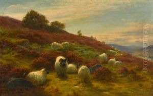 On the Finzean Hills by unknown