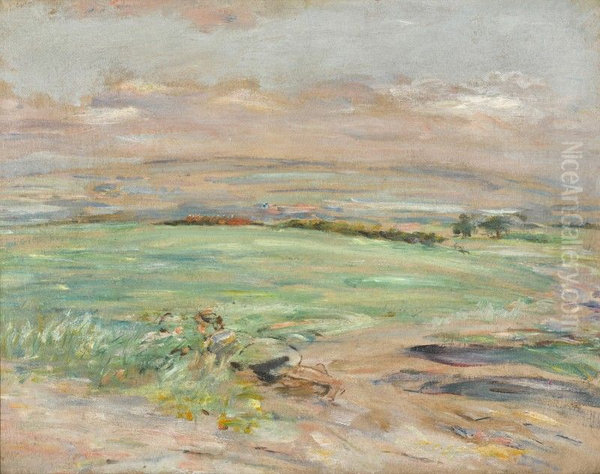 Winter Wheat - view 1