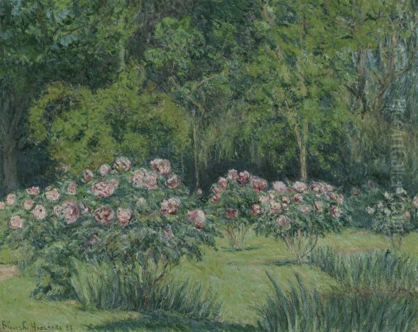 Le jardin a Giverny - view 1