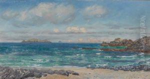 Newtrain Bay and Gull Island, Cornwall by John Brett