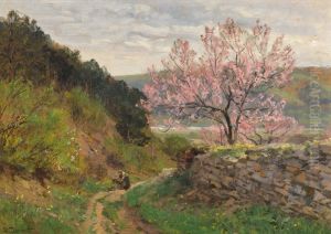 Spring Spring