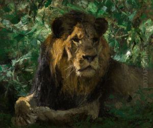 Resting Lion by unknown