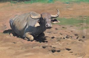 Resting Buffalo by unknown