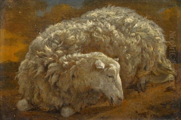 Study of a sheep - view 1