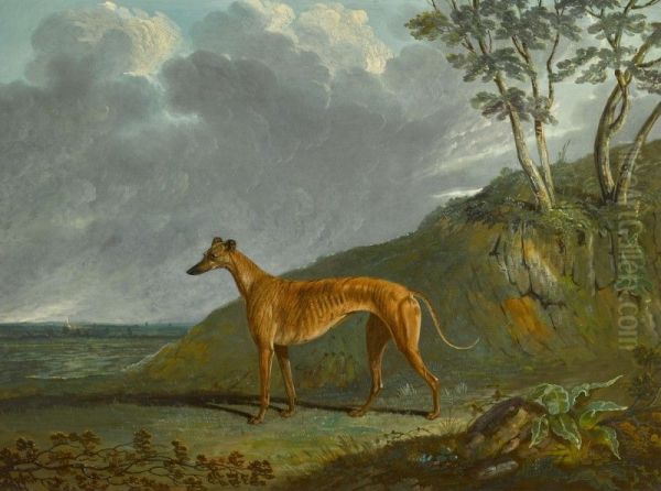 A brindle Greyhound bitch in a landscape - view 1