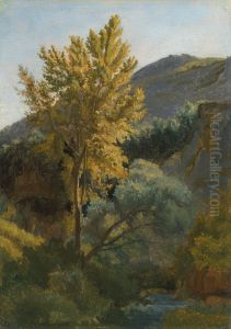 Etude d'arbre pres d'un torrent en Italie