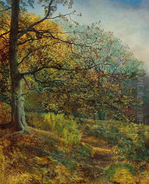Woodland near Leeds - view 1