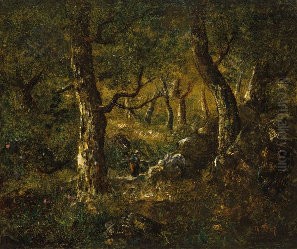 Interior de foret - view 1