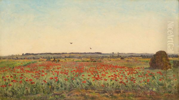 Le champ de coquelicot - view 1