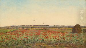 Le champ de coquelicot by unknown