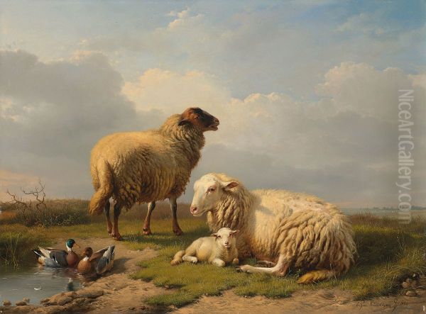 Sheep, Lamb and Ducks by a pond - view 1