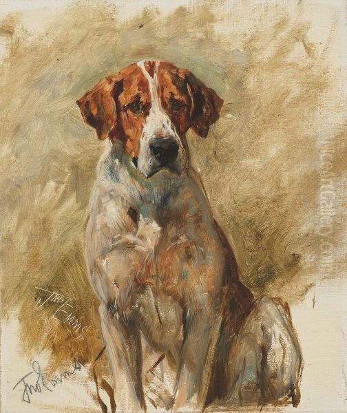 Study of a Hound - view 1