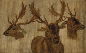 Three studies of a stag's head