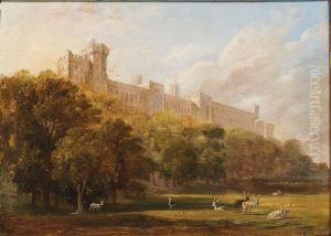 Windsor Great Park